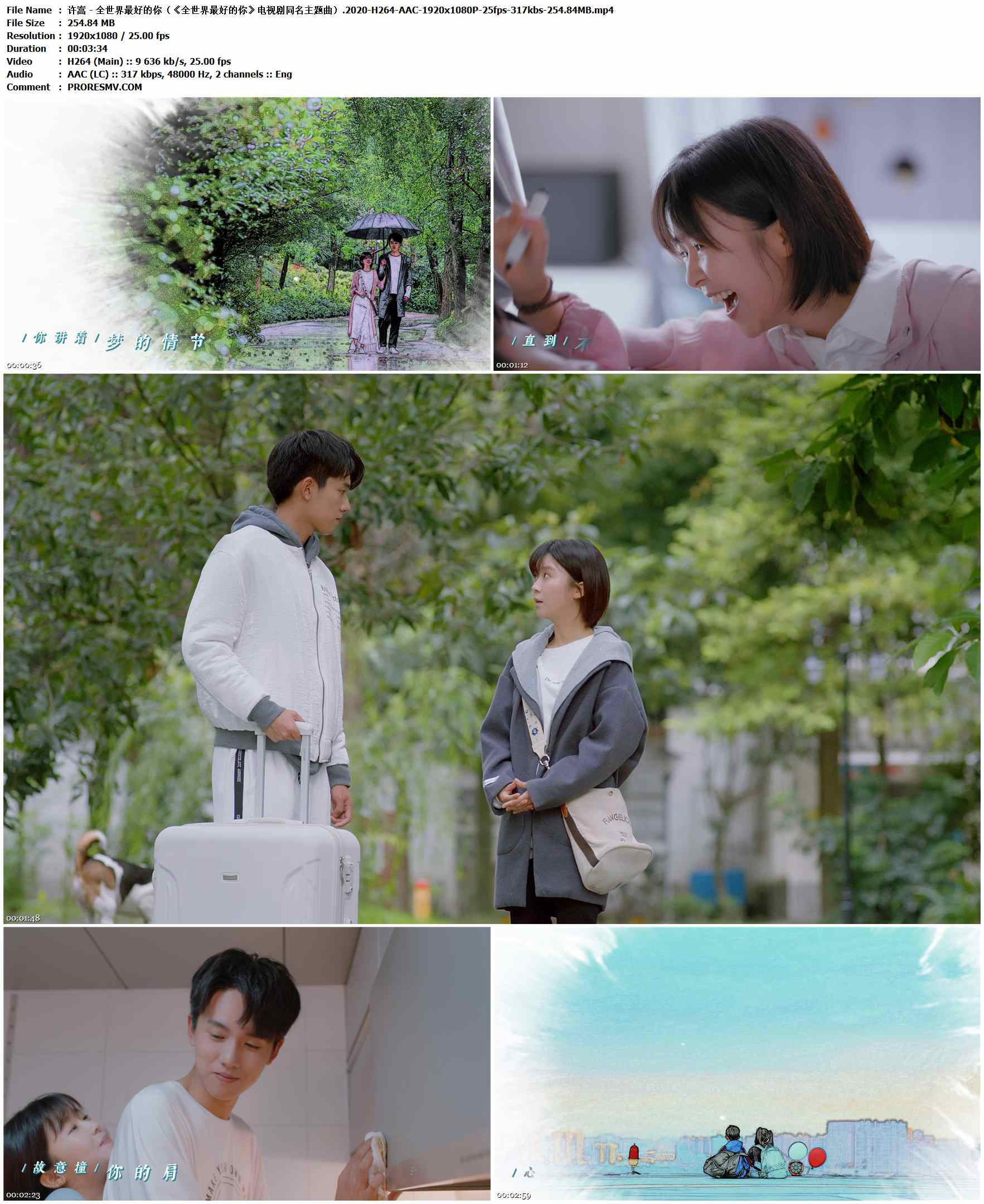 许嵩 - 全世界最好的你（《全世界最好的你》电视剧同名主题曲）.2020-H264-AAC-1920x1080P-25fps-317kbs-254.84MB官方MV_高清MV